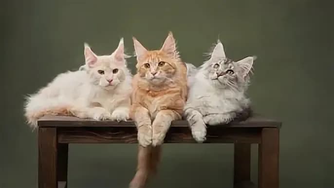 post-evening-insights-friday-november-28-2025-image